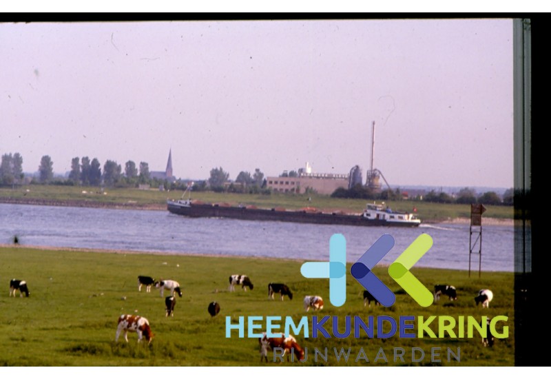 Rijn bij Spijk F00001733